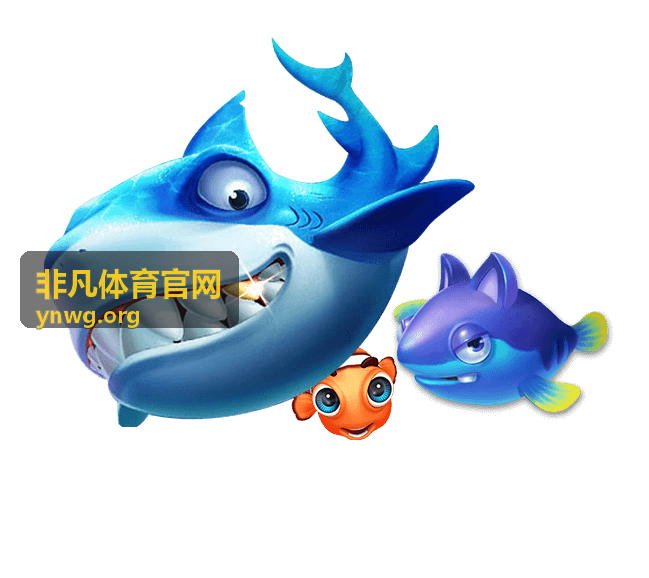 非凡体育官网赛事直播中心职业篮球常规赛直播